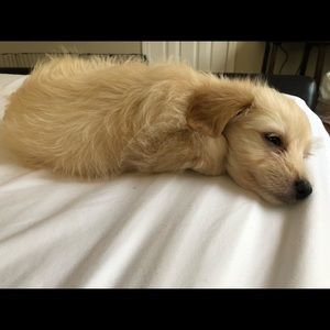 Meet your Posher, Melanie